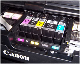 Canon-250-251-cartridges-installed_sm